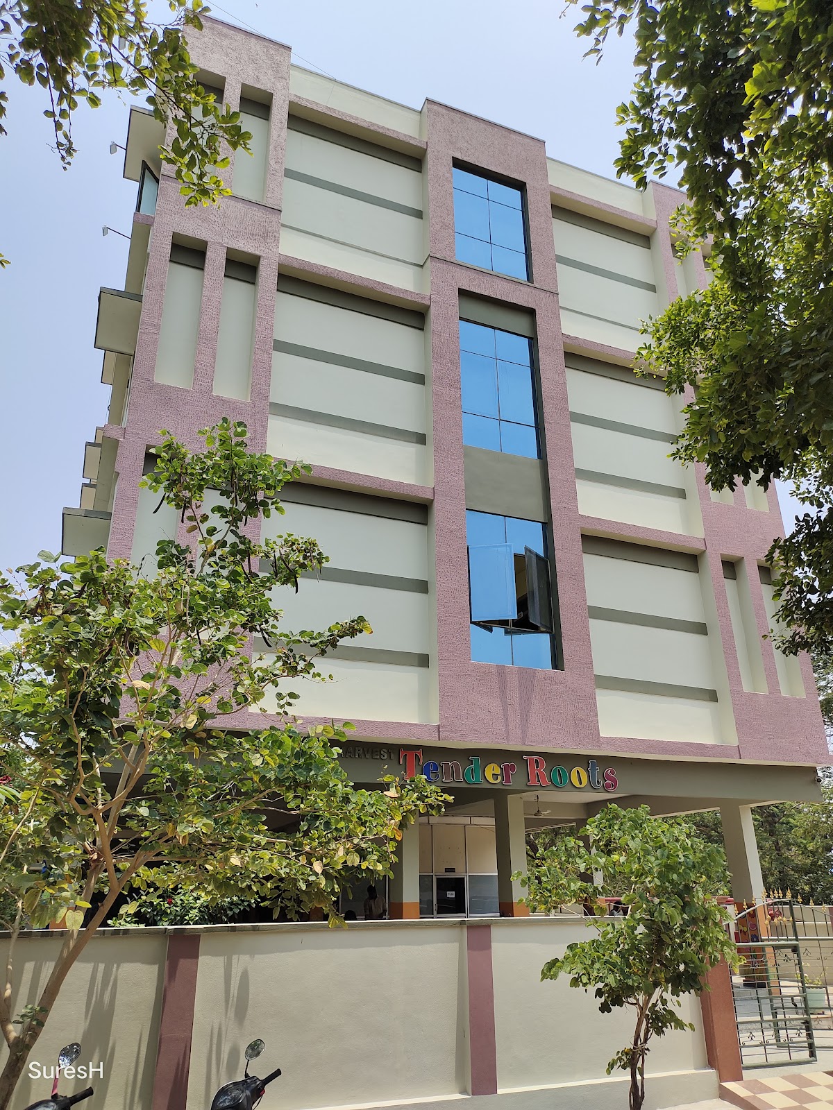 Harvest Tender Roots — Schools in Khammam, Telangana
