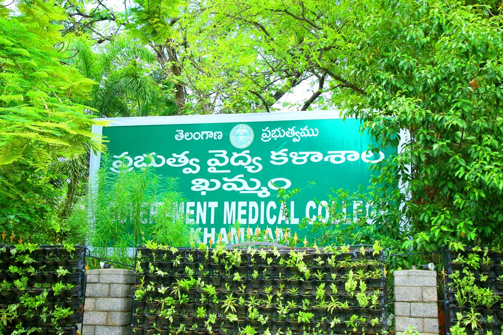 Government Medical College 5