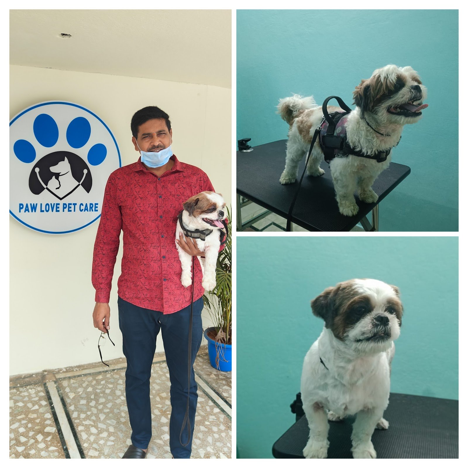 Paw Love Pet Care 4