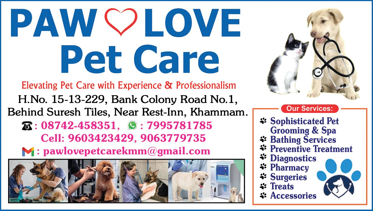 Paw Love Pet Care 5